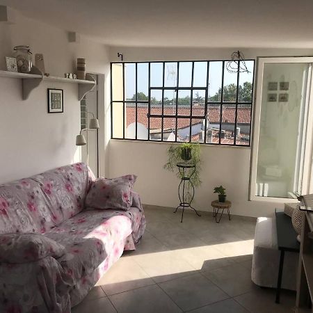 רימיני B&B Rooftop51 מראה חיצוני תמונה
