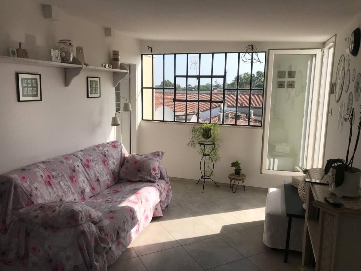 רימיני B&B Rooftop51 מראה חיצוני תמונה